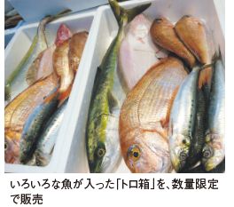 いろいろな魚が入った「トロ箱」を、数量限定で販売