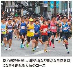 都心部を出発し、海や山など豊かな自然を感じながら走れる人気のコース