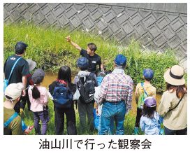 油山川で行った観察会の写真
