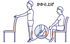 ふくらはぎの筋力アップイラスト