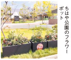 ちはや公園のフラワーポットの写真