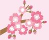 桜のイラスト