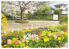 ひょうたん池の周りにある花壇の写真