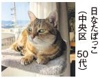 投稿写真
