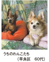 投稿写真