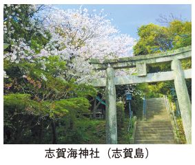 志賀海神社（志賀島）の桜の写真