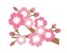 桜のイラスト