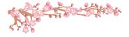 桜のイラスト