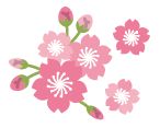桜のイラスト