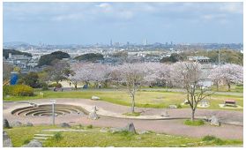 西油山中央公園内にある高台から一望できる、桜、福岡市内の写真
