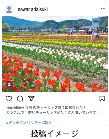 投稿イメージ写真