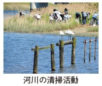 河川の清掃活動写真