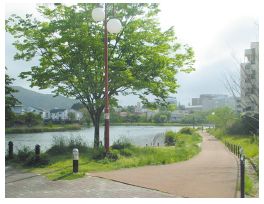 西の堤池と池の周りの遊歩道の写真