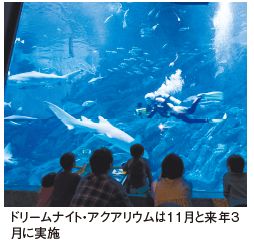 ドリームナイト・アクアリウムは11月と来年3 月に実施
