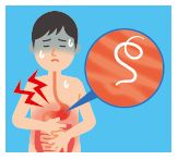 アニサキス食中毒のイラスト
