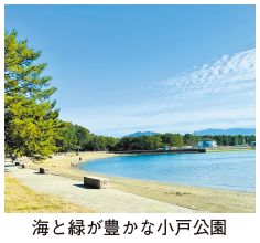 海と緑が豊かな小戸公園の写真
