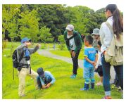 山野草を観察している写真