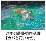 昨年の最優秀作品賞 「カバと花いかだ」