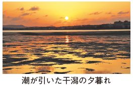 潮が引いた干潟の夕暮れの写真