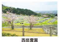 西部霊園