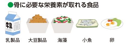 骨に必要な栄養素が取れる食品(乳製品、大豆製品、海藻、小魚、卵のイラスト)
