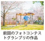 前回のフォトコンテストグランプリの作品写真