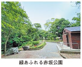 緑あふれる赤坂公園の写真
