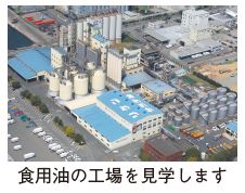 食用油の工場の写真(食用油の工場を見学します)