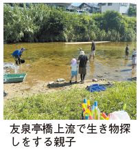 友泉亭橋上流で生き物探しをする親子の写真