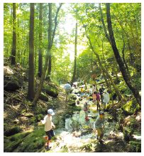 水の森の写真