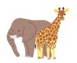 ゾウとキリンのイラスト
