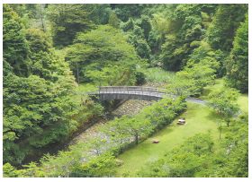 曲渕ダムパークの写真