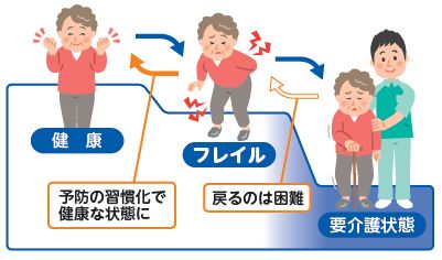 フレイル予防のイラスト(健康　予防の習慣化で健康な状態に　フレイル　戻るのは困難　要介護状態)