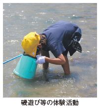 磯遊び等の体験活動
