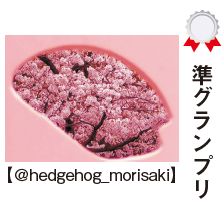 準グランプリ【＠hedgehog_morisaki】さんの写真
