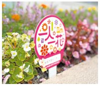 一人一花オリジナルプレートの写真