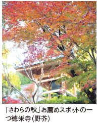 「さわらの秋」お薦めスポットの一 つ徳栄寺（野芥）