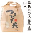 早良区の名産品・脇 山米