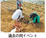 過去の同イベント