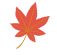 紅葉の葉のイラスト