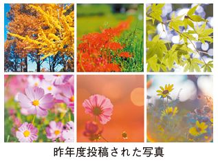 昨年度投稿された写真