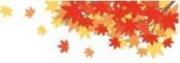 紅葉のイラスト