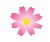 コスモスの花びらのイラスト