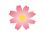 コスモスの花びらのイラスト