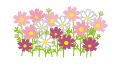 コスモスのイラスト