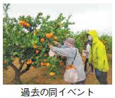 過去の同イベント