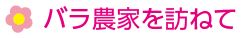 バラ農家を訪ねて