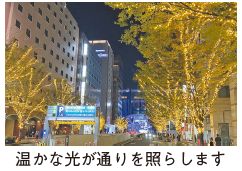 イルミネーションの写真(温かな光が通りを照らします)