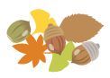 落ち葉とどんぐりのイラスト