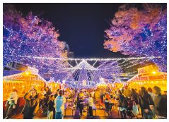 イルミネーションの写真